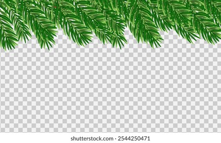 Ilustración vectorial de ramas de árboles de Navidad sobre fondo transparente. Marco. Elemento superior Horizontal.