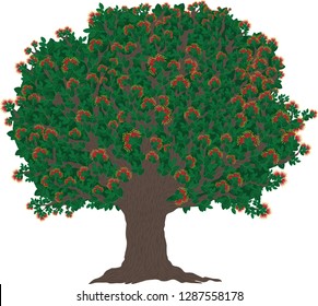 Vector illustration of the Christmas tree of New Zealand with blooming red flowers.