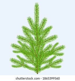 Vector illustration of a Christmas tree on a light background