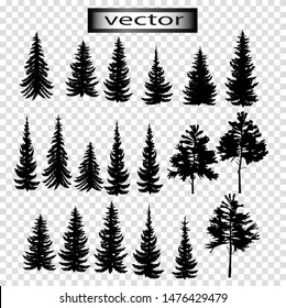  Vector illustration of Christmas Tree silhouettes of coniferous trees, forest of cedar, pine and spruce, isolated on transparent background