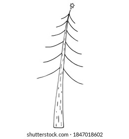 Ilustración vectorial. Árbol de Navidad con estrella aislada en blanco. Diseño de decoración navideña С navidad. Clíparte del doodle de pino dibujado a mano. Para banner de año nuevo, tarjetas, envoltura, tela, textil.
