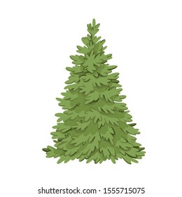 Vector illustration with Christmas tree. Winter fir-tree image. Design element isolated on white background. Perfect for cards, invitations, banners, posters