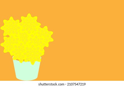 Vector illustration of chrysanthemum flower pot on orange color background.