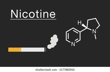 Vector illustration of cigarette and nicotine molecular structure.
