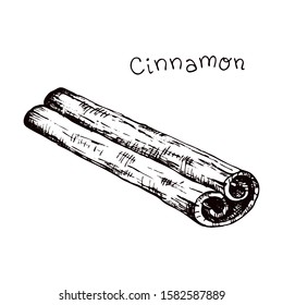 Vector illustration with cinnamon. Hand drawn sketch ingredient for cooking and aromatherapy or mulled wine. Spices for menu cafe and bar, wrapping paper or product packaging, banner for food blog 