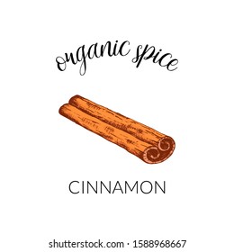 Vector illustration with cinnamon. Hand drawn label isolated on white background. Banner for organic herbs and spices or logo concept. For package design.
