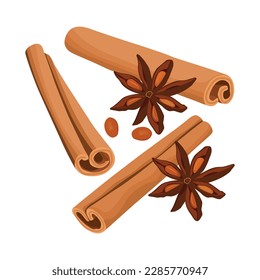 Vector illustration of cinnamon stick and star anise spice isolated on white background closeup. Asia recipe