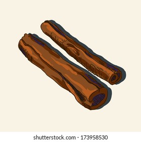 Vector illustration of cinnamon sticks