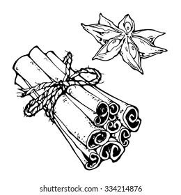 vector illustration of cinnamon sticks and beans