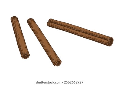 Vector illustration with Cinnamon sticks on isolated background. Hand drawn engraved bark brown spice. Spicy seasoning, condiment aromatic ingredient for cooking, baking. Design element for logo, sign