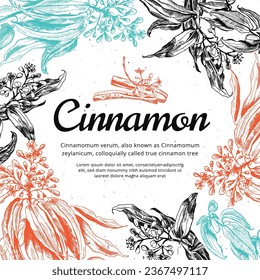 Vector illustration of Cinnamon tree. Hand-drawn sketch style images of Cinnamomum Verum tree branches with leaves, flowers, buds and fruits. Botanical style illustration 