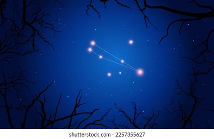 Vector illustration Circinus constellation. Tree branches, dark blue starry sky