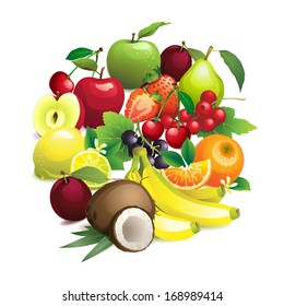 Vector Illustration of  Circle shape contains different fruits with leaves and flowers