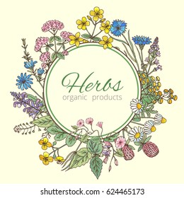 Vector Illustration In Circle Shape. Herbs Background, Fresh Leaves And Different Flowers. Frame With Place For Your Text. Round Emblem Herbs Organic Products And Badge For Organic Herbs