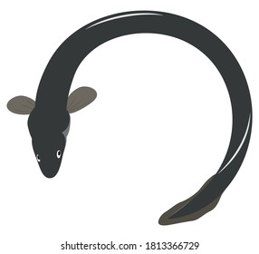 Vector illustration of circular eel.