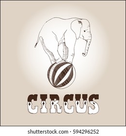 Vector Illustration of a Circus Elephant.