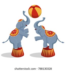 Vector illustration circus elephants playing ball.