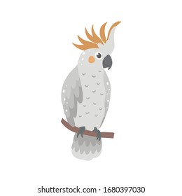 Vector illustration with citron cockatoo.