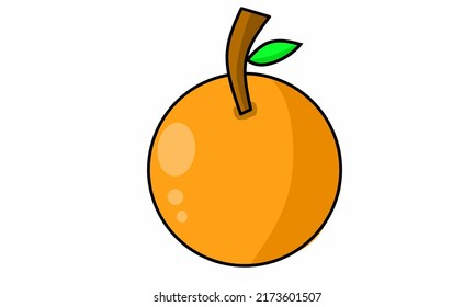vector illustration, citrus fruit with green branches and leaves isolated on white.