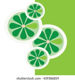 Vector illustration of citrus fruit on green and white background 