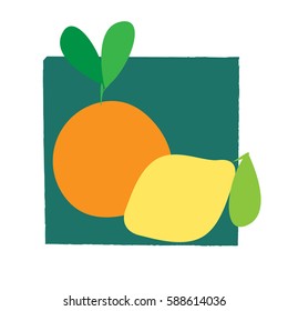 Vector illustration of citrus fruits