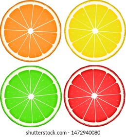Vector illustration. Citrus fruits slice in realistic style. Isolated on white.