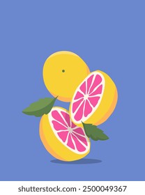 Vector illustration. Citrus, grapefruit, lemon, juice, diet. Poster, banner, postcard. Modern design. Food. Cartoon style.