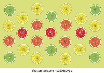 Vector illustration of citrus slices arrangement.