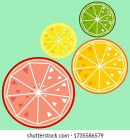 Vector illustriert Zitrusscheiben aus Zitrone, Orange, Kalk und Grapefruit. Moderner Stil, Wohnung.