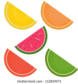 vector illustration with citrus slices and piece of watermelon