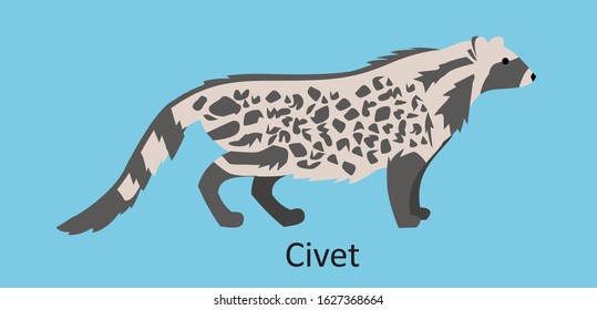 Vector illustration of a civet, a cat-like animal used in the perfume trade for it's musk glands, and coffee industry for excreted coffee berries. Also caused SARS outbreak, carrier of coronavirus. 