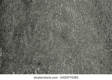 Vektorgrafik von Cladrastis kentukea Baum bellen Hintergrund bei sonnigem Wetter. Naturleder.
