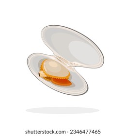 Vector illustration, clam with open shell, isolated on white background.