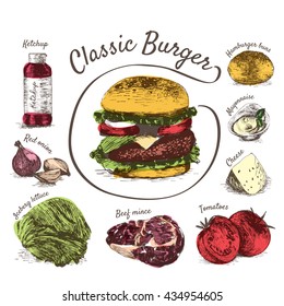 Vector illustration of classic burger ingredients. Hand drawn colorful illustration on white background