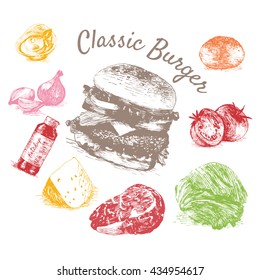 Vector illustration of classic burger ingredients. Hand drawn colorful illustration on white background