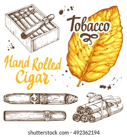 Vector illustration with classical smoking set. Bunch of tobacco and box with hand rolled cigars, leaf in sketch style. Best cuban quality.