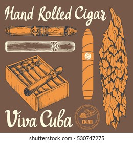 Vector illustration with classical smoking set. Bunch of tobacco box, hand rolled cigars, leaf in sketch style. Best cuban quality.