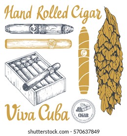 Vector Illustration With Classical Smoking Set. Bunch Of Tobacco Box, Hand Rolled Cigars, Leaf In Sketch Style. Best Cuban Quality.