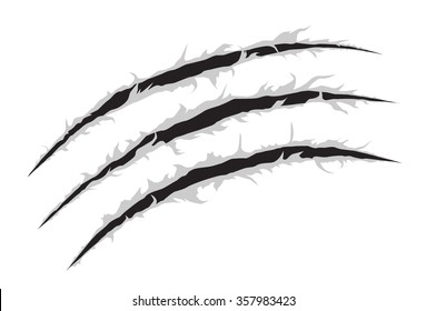 vector illustration of claw scratches isolated on white background