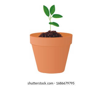 Ilustración vectorial de una maceta de arcilla con una planta