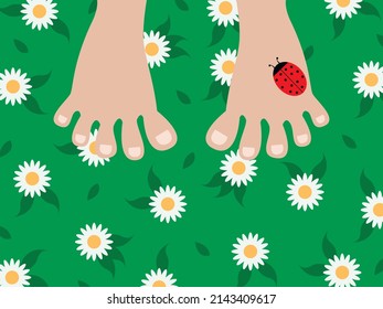 Ilustración vectorial - limpie los pies desnudos cerca del césped con flores de prado blanco y una mariquita. Concepto: cuidado de los pies y descanso estival y vacaciones