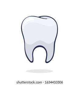 Vector illustration. Clean healthy human tooth. Symbol of somatology and oral hygiene. Graphic design with contour. Clip art print for packaging, signboard, showcase. Isolated on white background