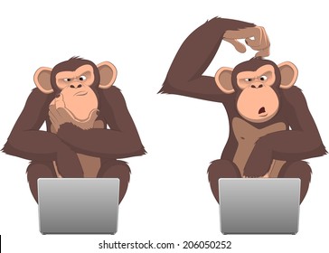 Vector illustration, Clever monkey at a computer