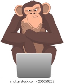 Vector Illustration, Clever Monkey At A Computer