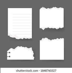 Vektorgrafik-Clip Art Scraps Papers. Set von Notebook-Stücken. Einzige Objekte auf der Rumpfseite