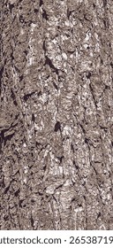 Ilustração vetorial close up da textura da casca da árvore conífera perene Pseudotsuga menziesii, comumente conhecida como abeto de Douglas.