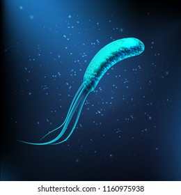 Vector illustration of close up pathogenic, gram-negative, rod-shaped blue bacteria with flagellas under microscope