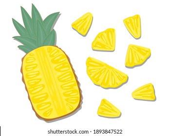 vector illustration close up top view of fresh ingredient sliced. pineapple, yellow, fresh,