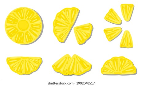 vector illustration close up top view of fresh ingredient sliced. pineapple, 