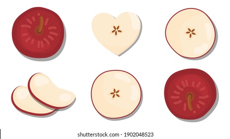 vector illustration close up top view of fresh ingredient sliced. Apple, heart shape, slice, cut, piece, 